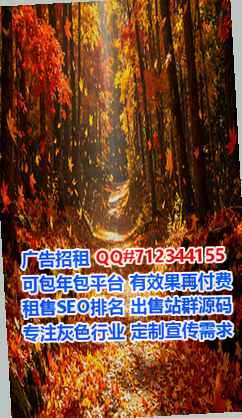 邢台代生数码公司
